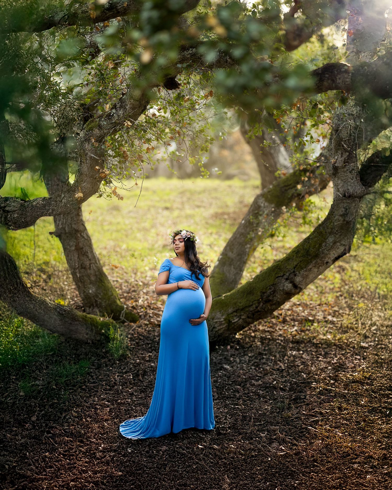 A flowing blue maternity gown catches sunlight beneath gnarled oak trees in a dreamy outdoor setting.