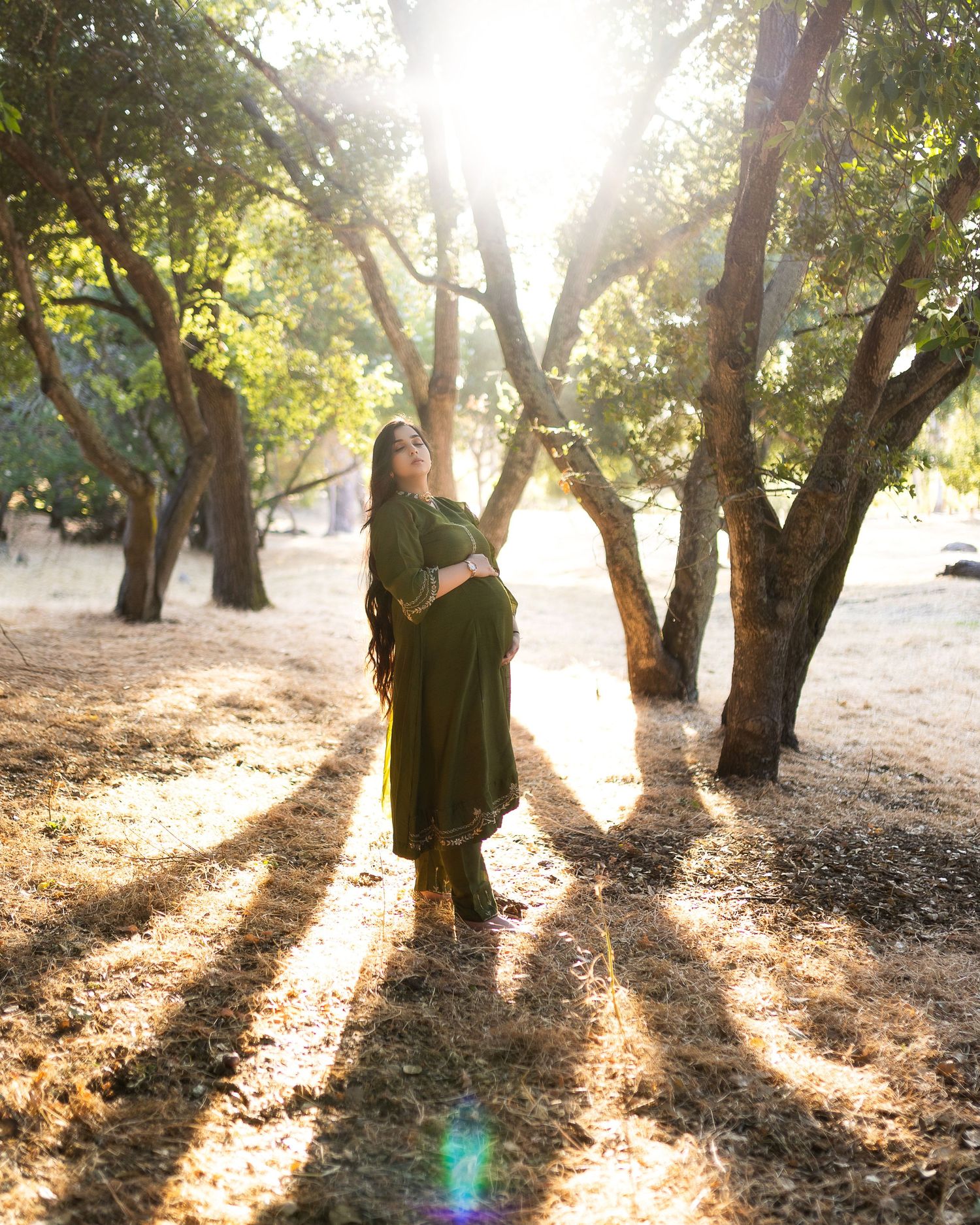 Sunlight streams through olive trees in a grove casting long shadows across the dusty ground on a bright morning.
