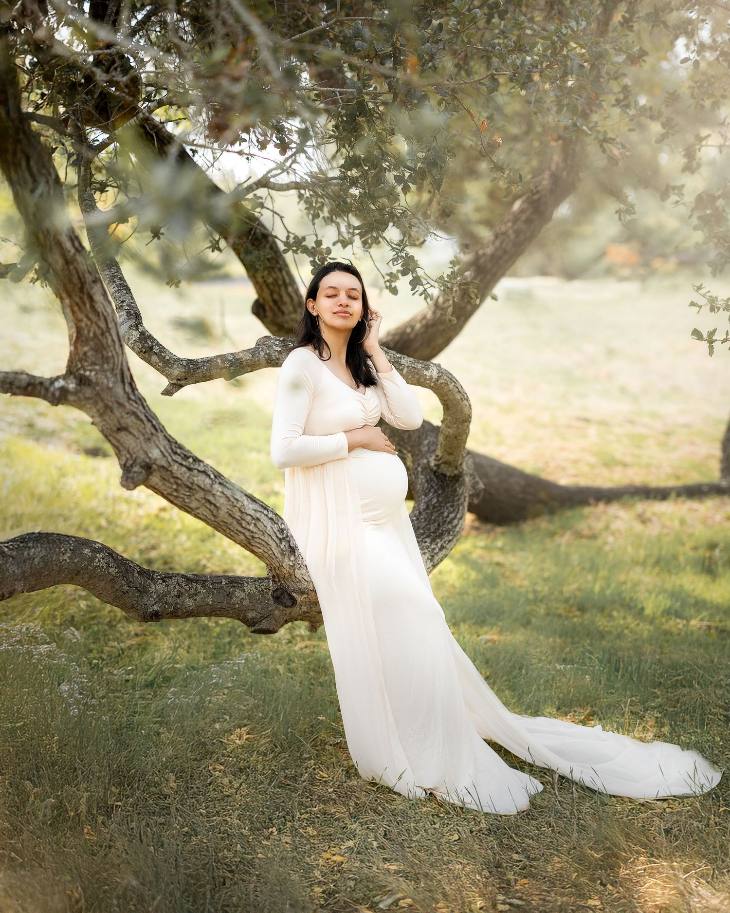 A person in a flowing white lace maternity gown poses gracefully against a twisted olive tree trunk in a sunlit garden setting.