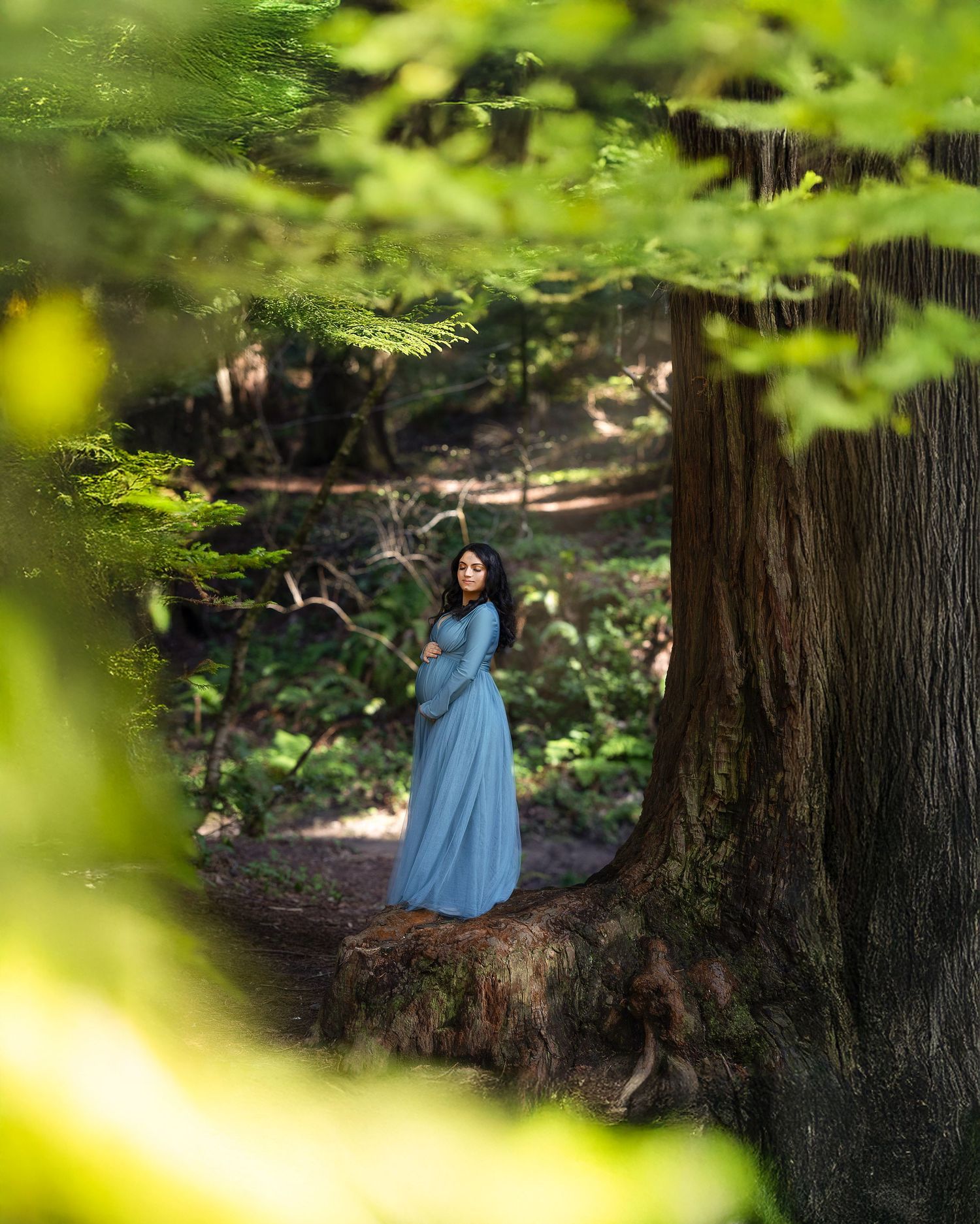 A figure in a flowing blue dress stands among towering redwood trees in a dreamy forest setting.