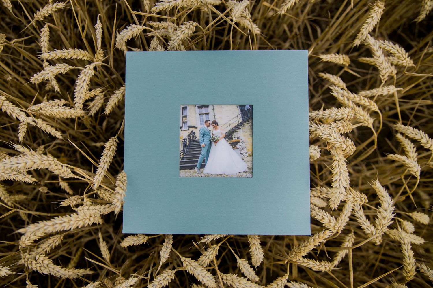 A light blue photo album or frame sits against a backdrop of dried wheat stalks.