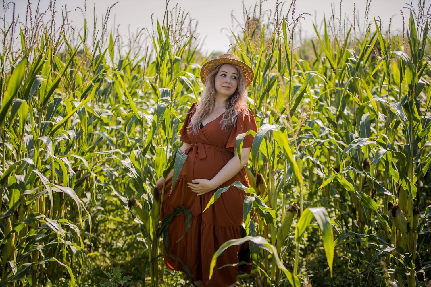 Woman in red dress standing among tall corn stalks in golden sunlight.