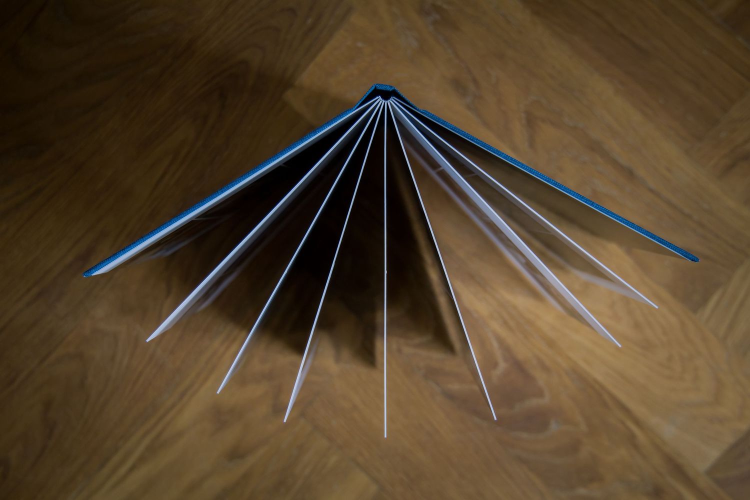 A blue light shining through a dark wooden floor creates a striking fan-shaped pattern.