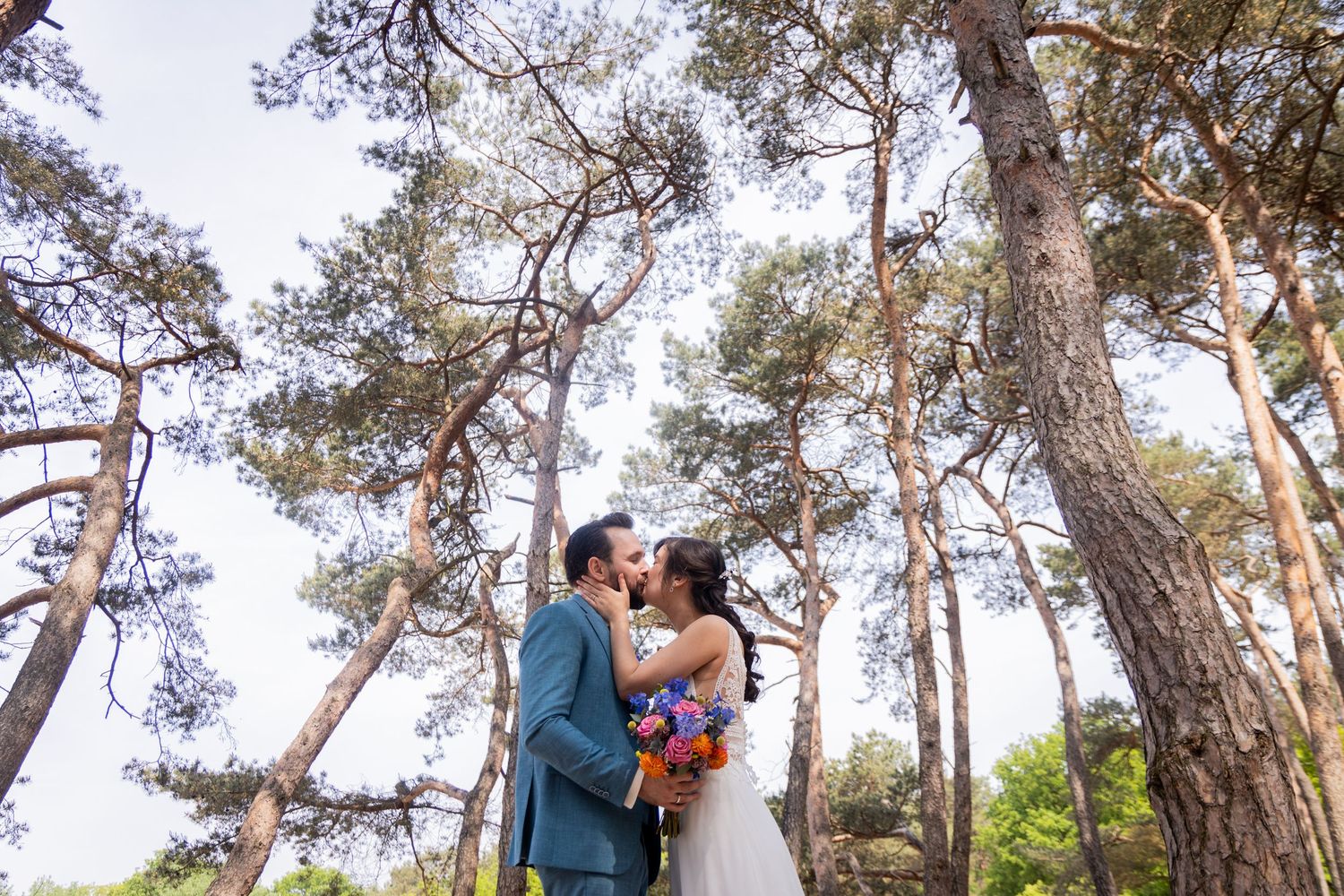 A romantic photography session in a sun-dappled pine forest with soft natural lighting.