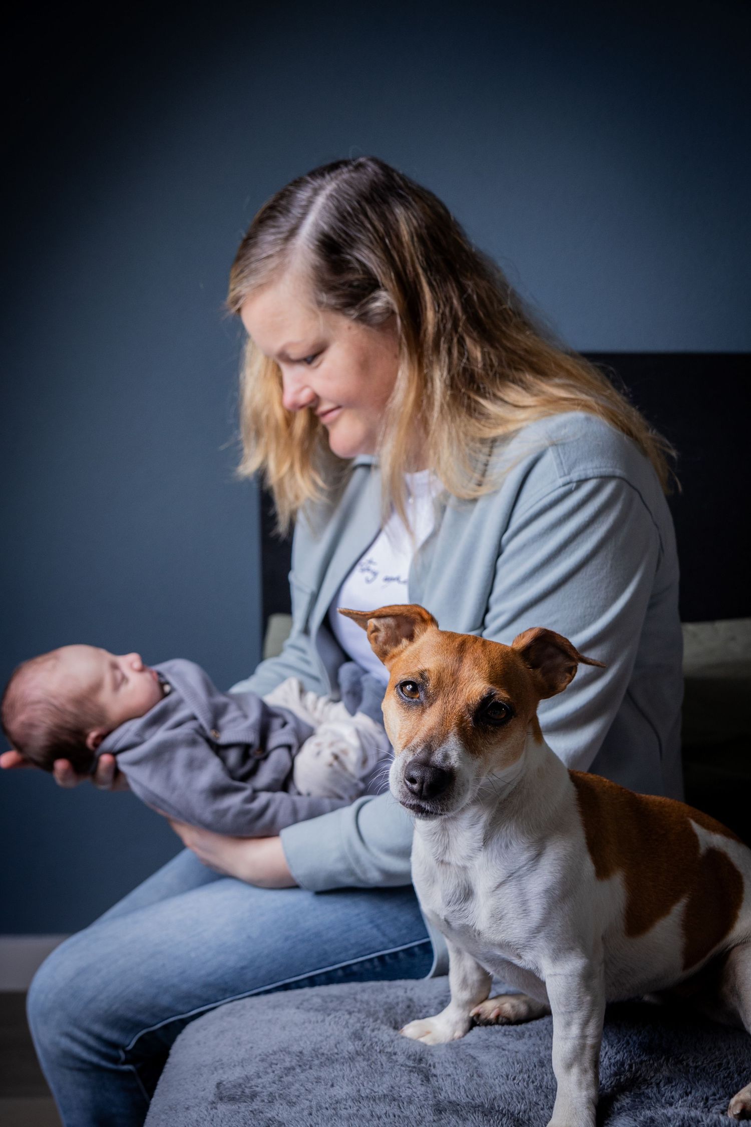 A Jack Russell terrier sits attentively next to a baby being held on a cozy couch.