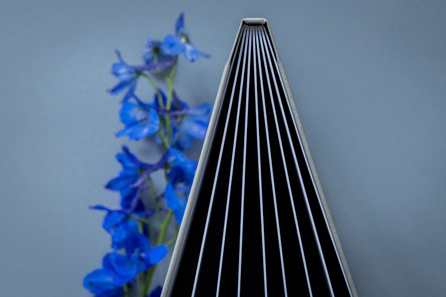 Close-up shots of guitar neck strings with vibrant blue delphinium flowers in background gradually changing focus.