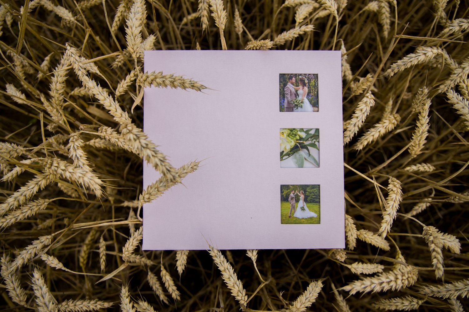 A white photo album resting on dried wheat stalks with three small photos visible on the cover.