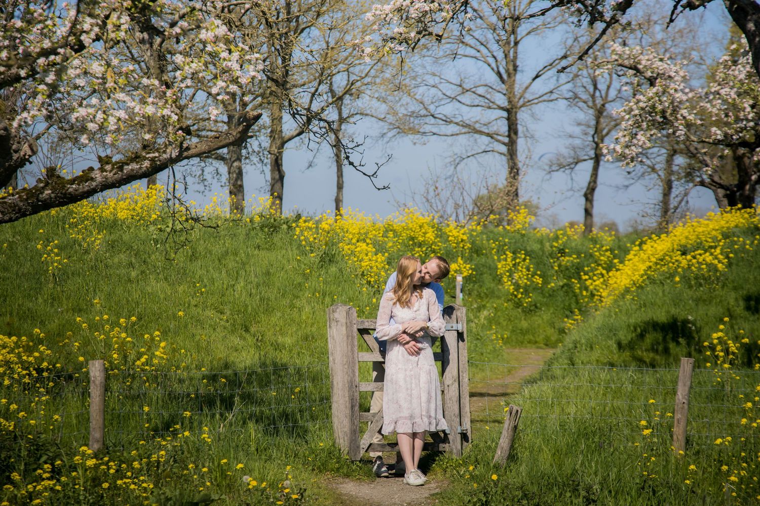 A springtime scene on a garden path with blooming trees and yellow flowers on rolling hills.