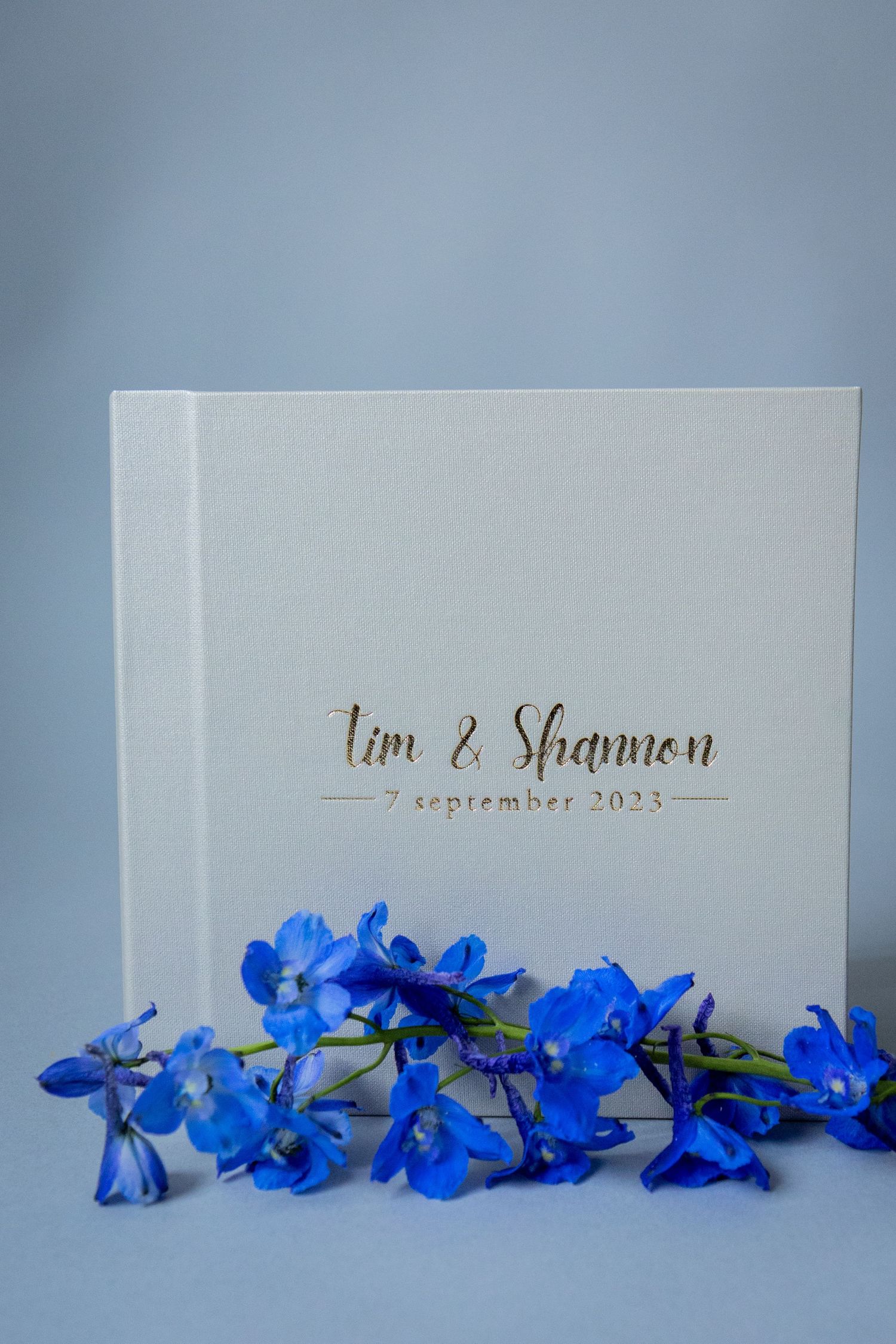 Wedding place cards decorated with vibrant blue delphiniums on a soft gray background.