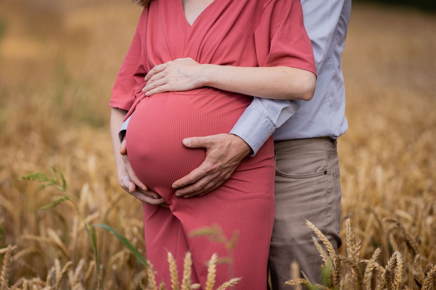 An intimate maternity portrait taken among tall wheat stalks in warm afternoon light.