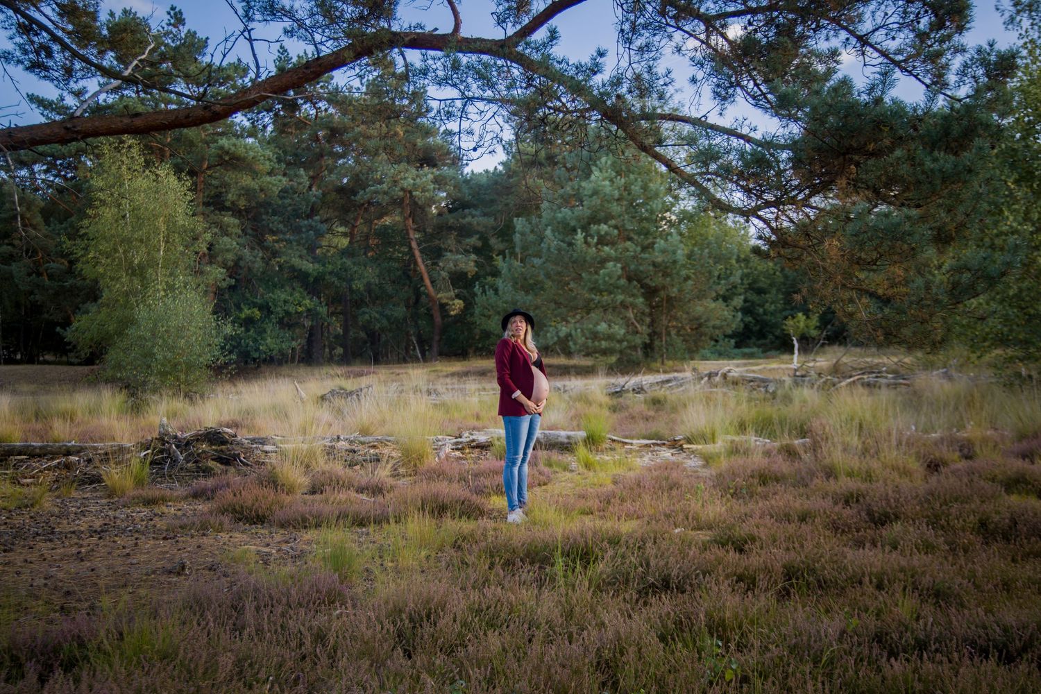 A person stands alone in a natural heathland setting surrounded by pine trees.