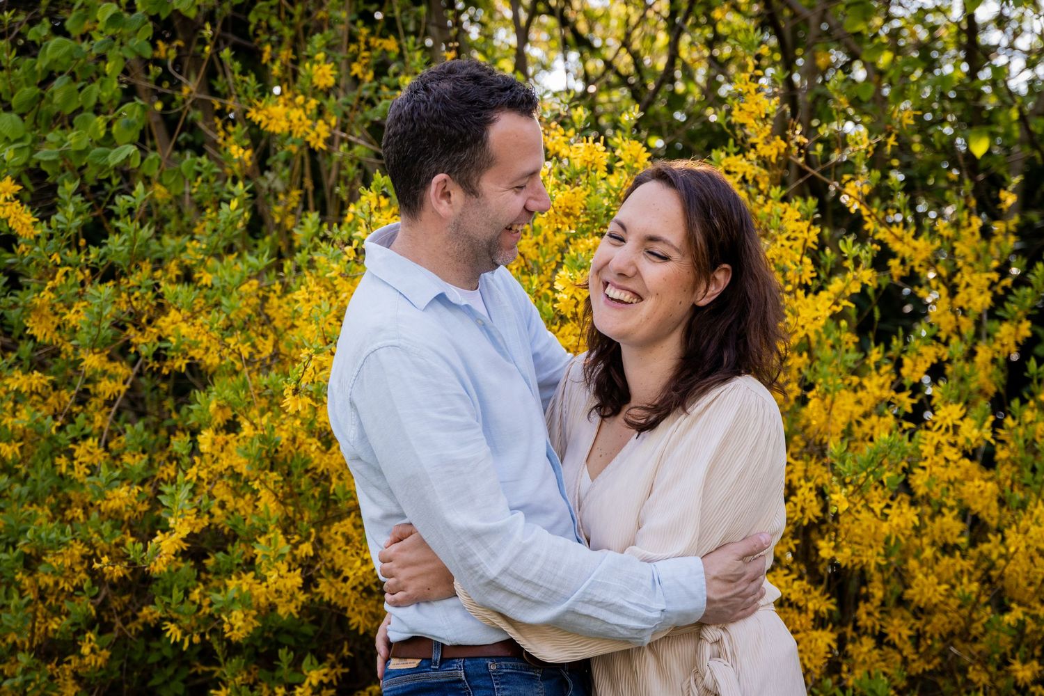 A loving embrace captured against a backdrop of vibrant yellow forsythia bushes in spring.