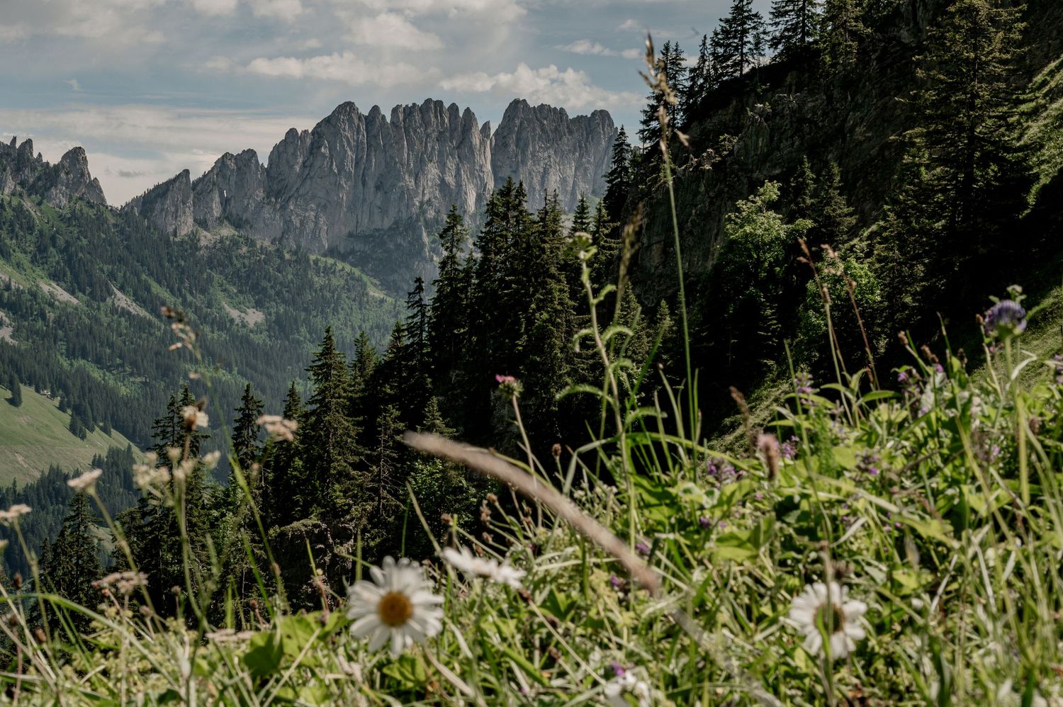 Jaun, Gastlosen, Freiburg, Alp, Sommer, Lagruyere, Dolomiten, Kanton Freiburg, Hotel Wasserfall, Im Fang, Gastlosenkette, Wandfluh, Berge