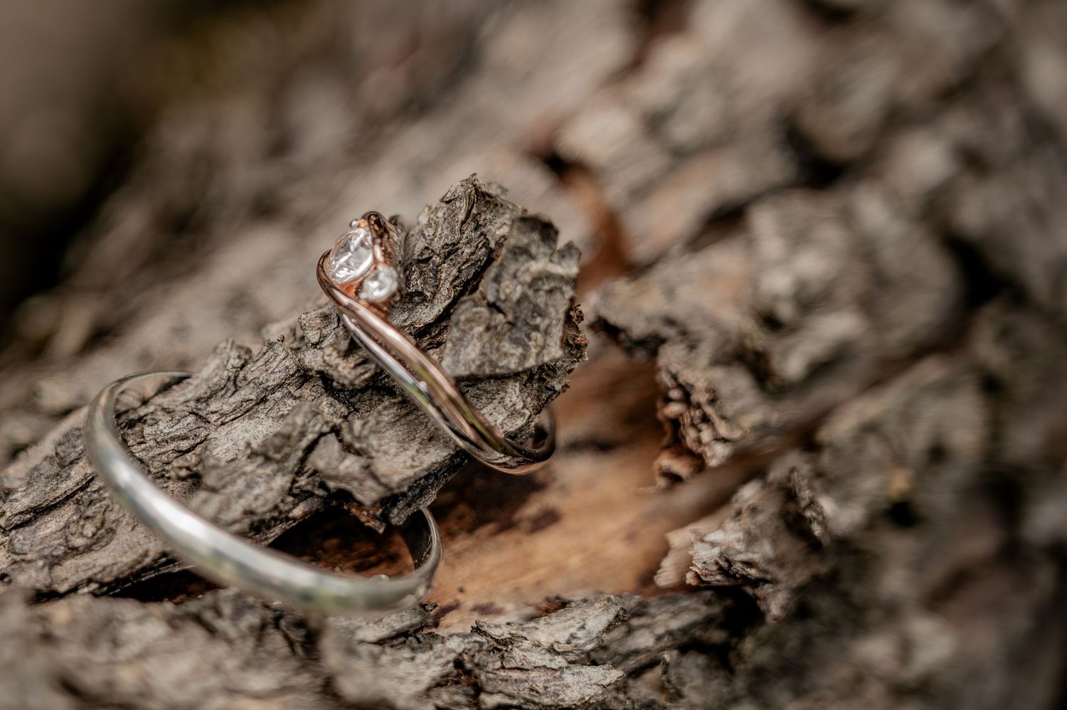 Hochzeit, Sonne, Hochzeitsfotografie, Hochzeitsfoto, Fotograf, Brautstrauss, Braut, Brautpaar, Wald, Forever, Heiraten, Steinerberg, Ringe