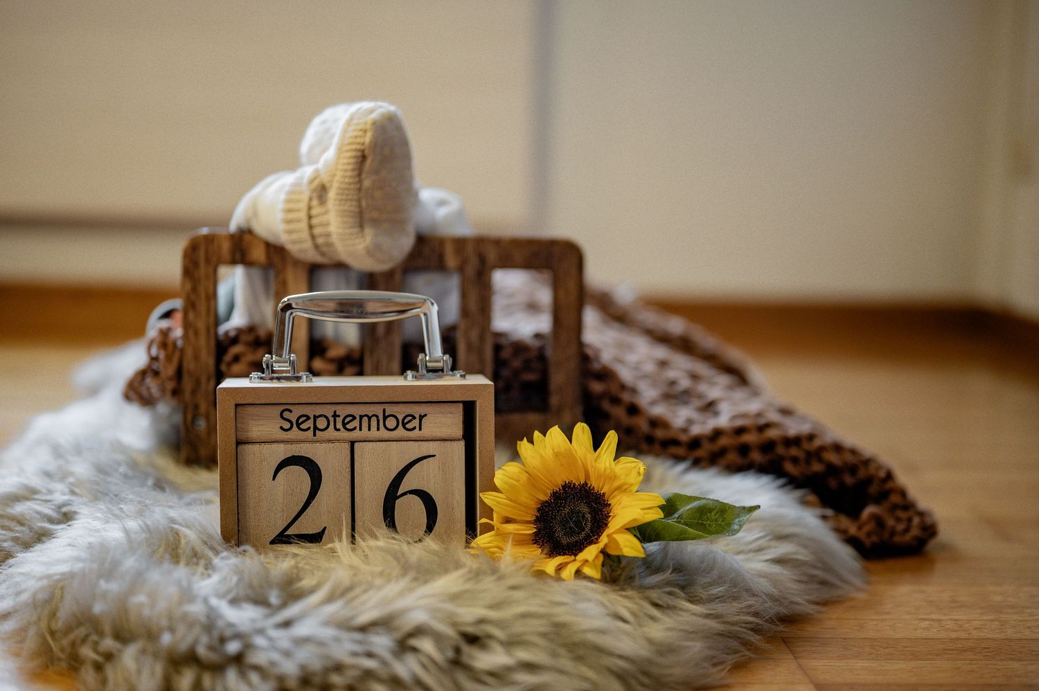 Urchig, Newbornshooting, Familienfoto, Liebe, Kind, Shooting, Fotoshooting, Familieshooting, Babyfoto, Fotografin, Natur, Appenzell, Details