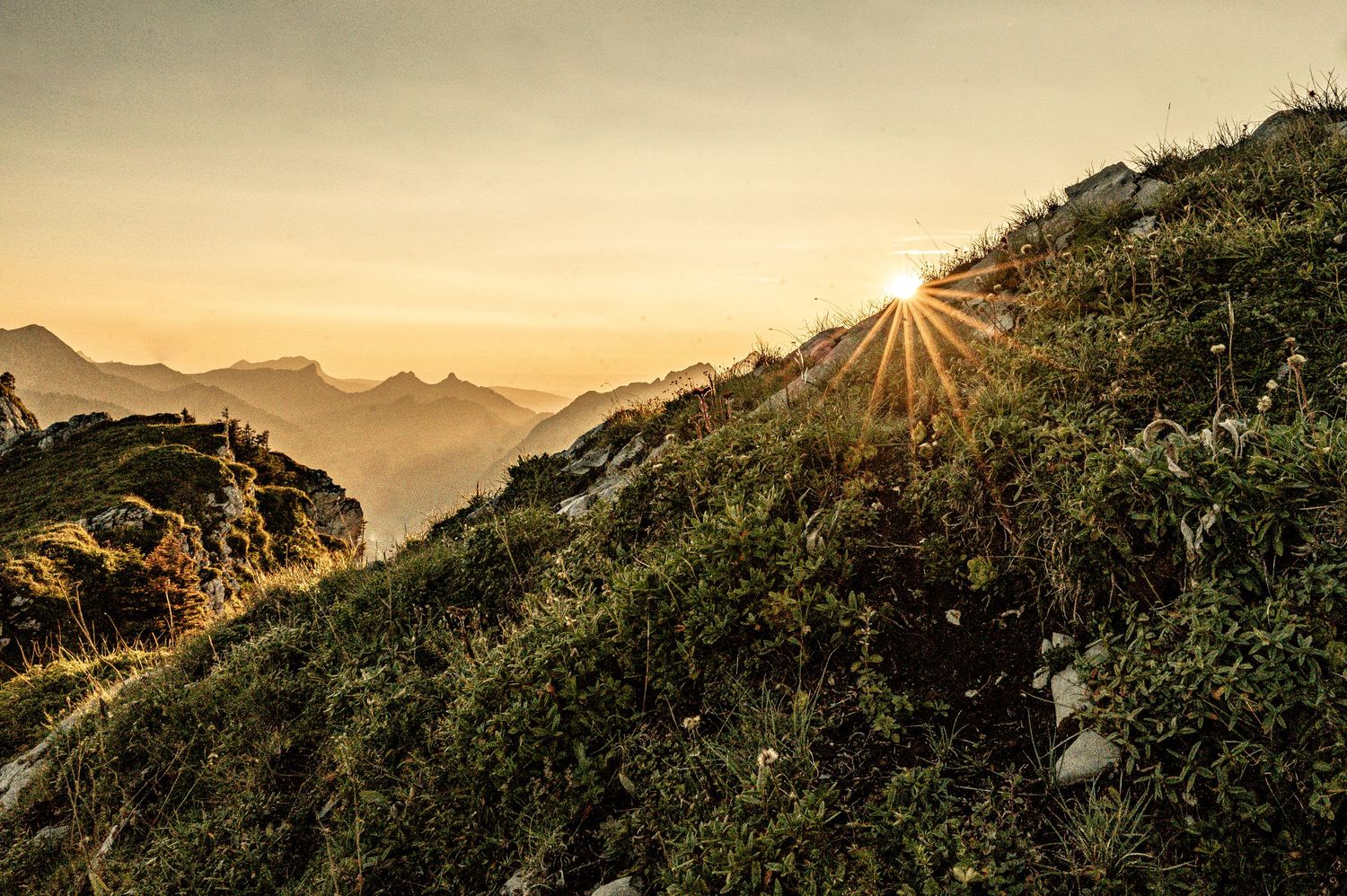 Bäderhorn, Jaun, Sonnenuntergang, Sonne, Sonnenstrahlen, Sommer, Berge, Landschaft, Abendstimmung, Sonnenaufgang, Wandern, Boltigen, Natur,