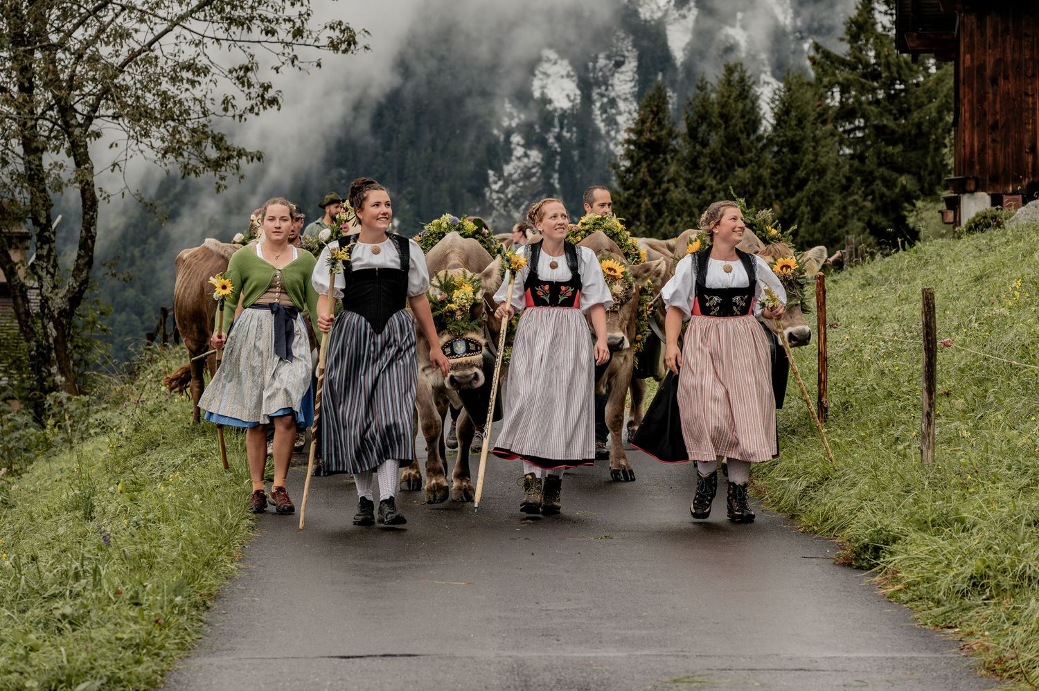 Brauchtum, Alpabzug, Alpaufzug, Brienz, Hofstetten, Trauffer, Tracht, Tradition, Kuh, Kühe, Geschmückte Kühe, Sennerin, Glocken, Urchig