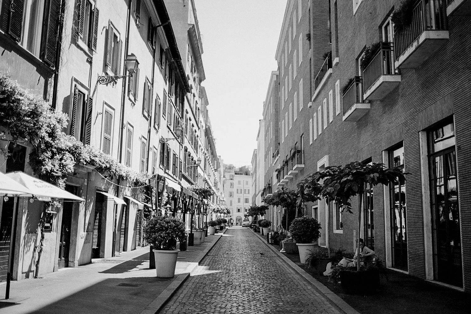 Fotografo di matrimoni e ritratti di lusso con sede a Roma. 
Rome Portrait Experience, Portrait Studio.
Roma, Toscana, Amalfi.