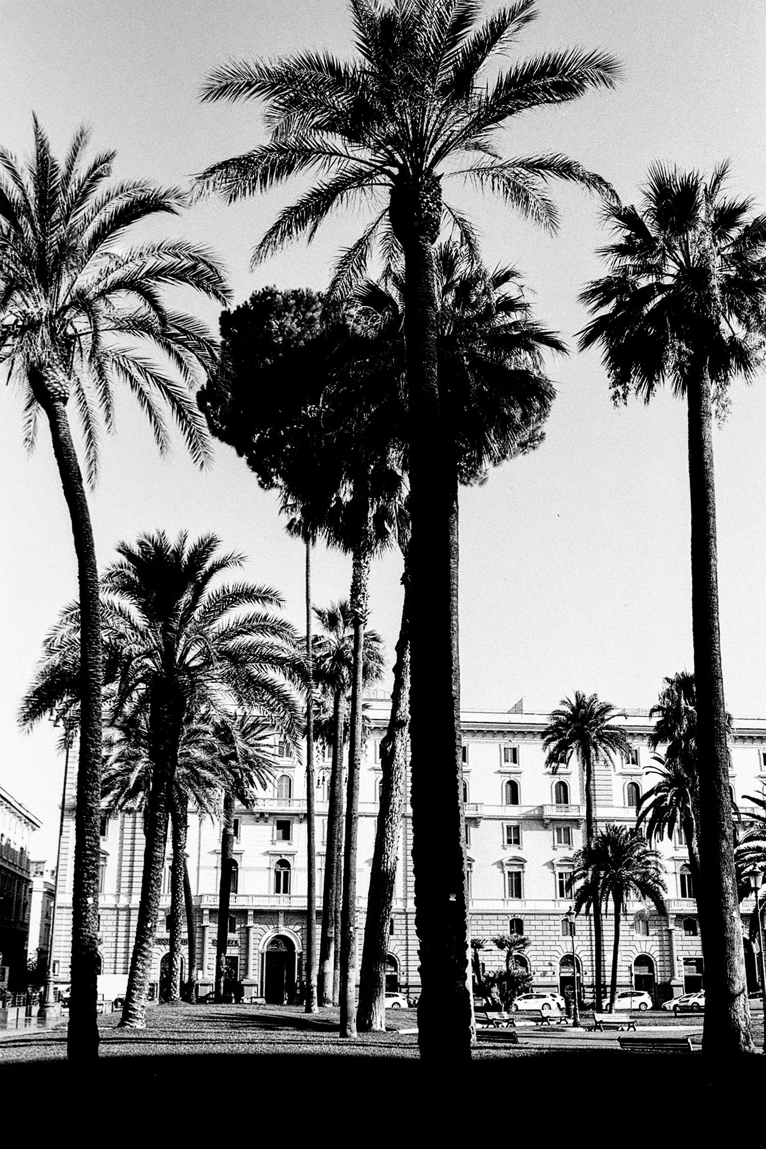 Fotografo di matrimoni e ritratti di lusso con sede a Roma. 
Rome Portrait Experience, Portrait Studio.
Roma, Toscana, Amalfi.