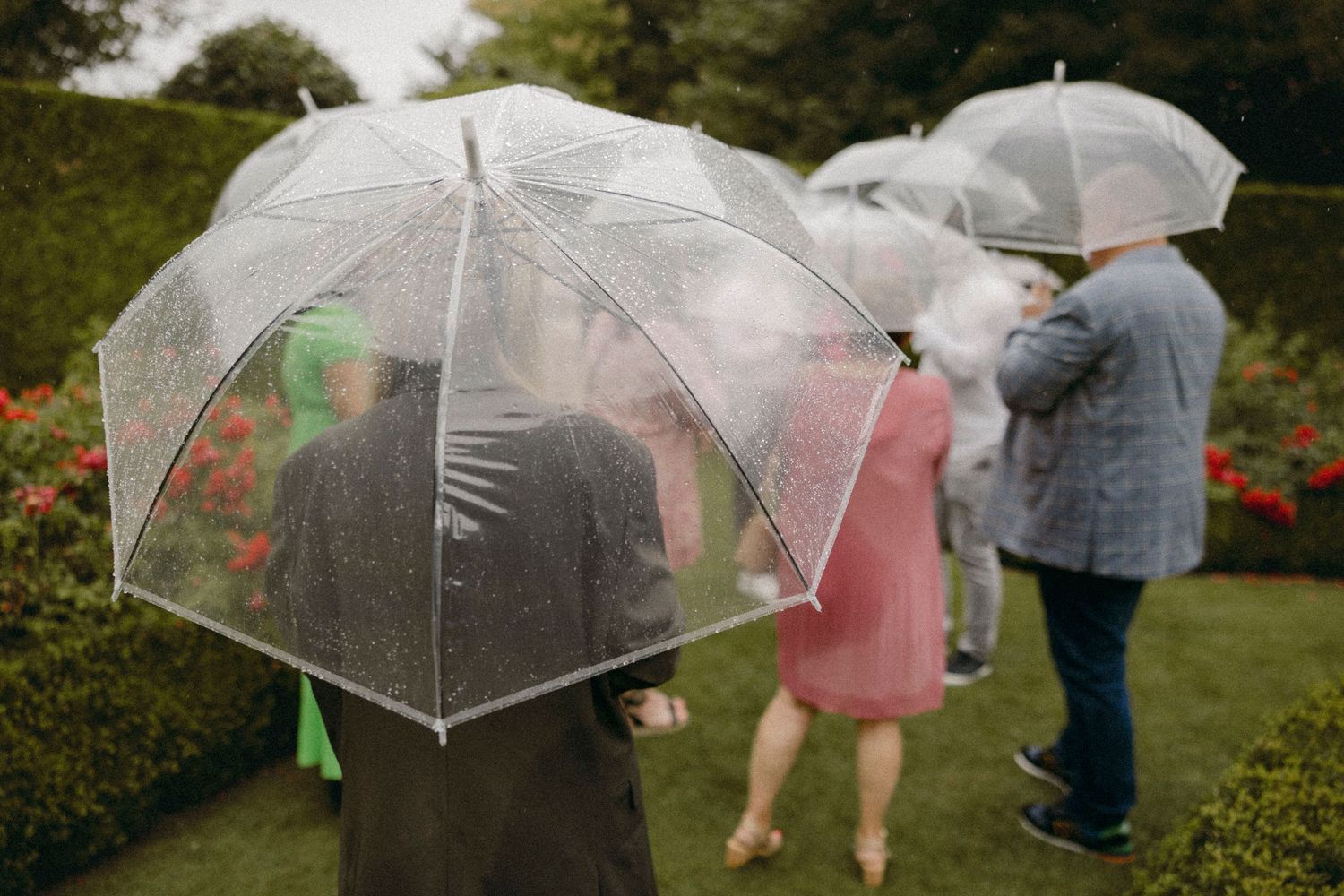Guests holding clear dome umbrellas in a garden during a rainy outdoor wedding celebration.