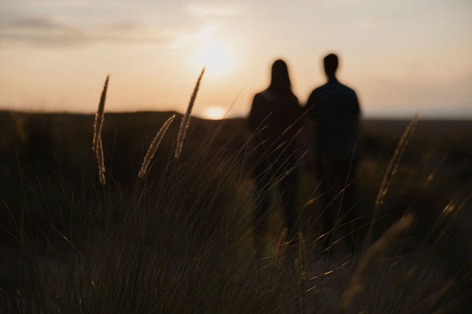 Silhouettes of a couple standing in a field of tall grass at sunset.