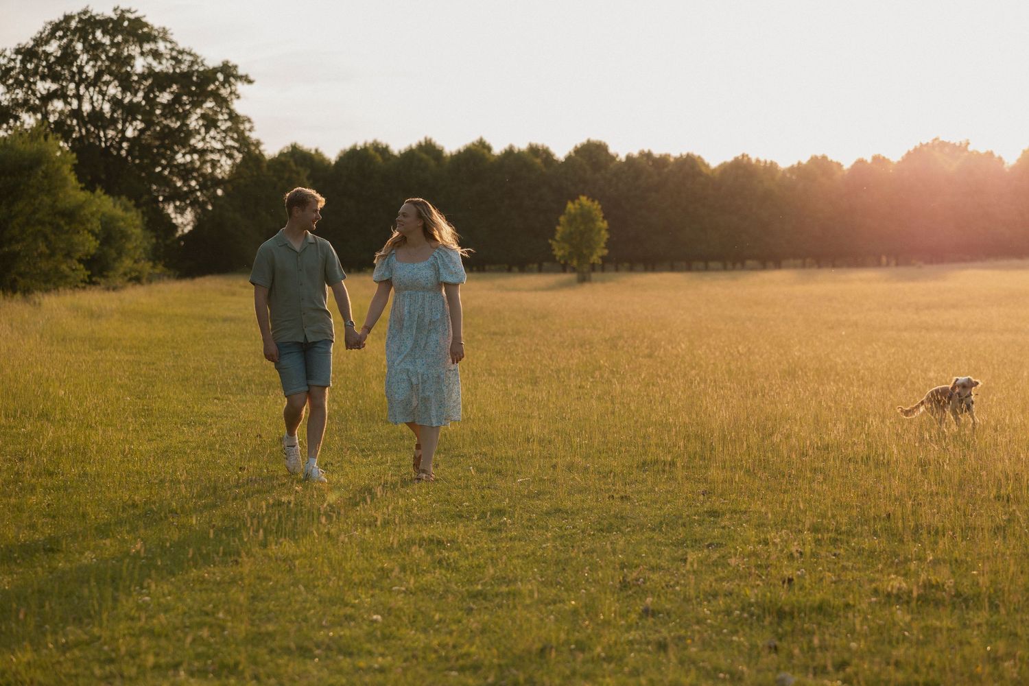 Couple holding hands strolling through a golden sunset field with their dog.
