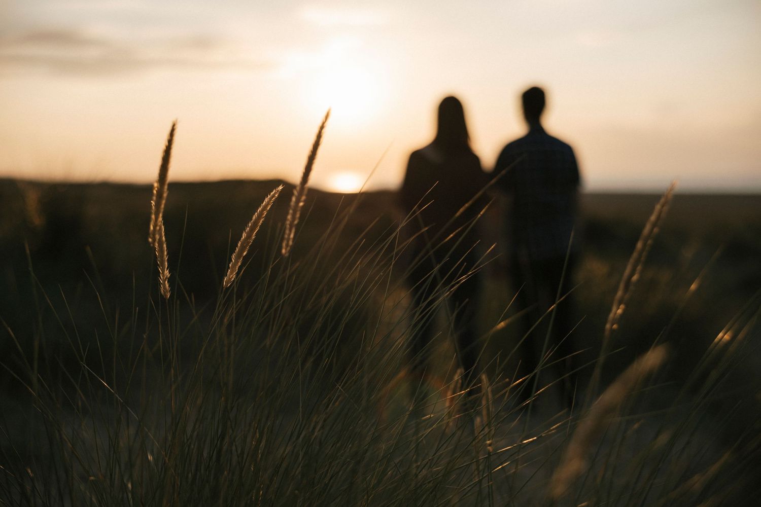 Silhouette of a couple standing in a field of tall grass during a vibrant golden sunset.