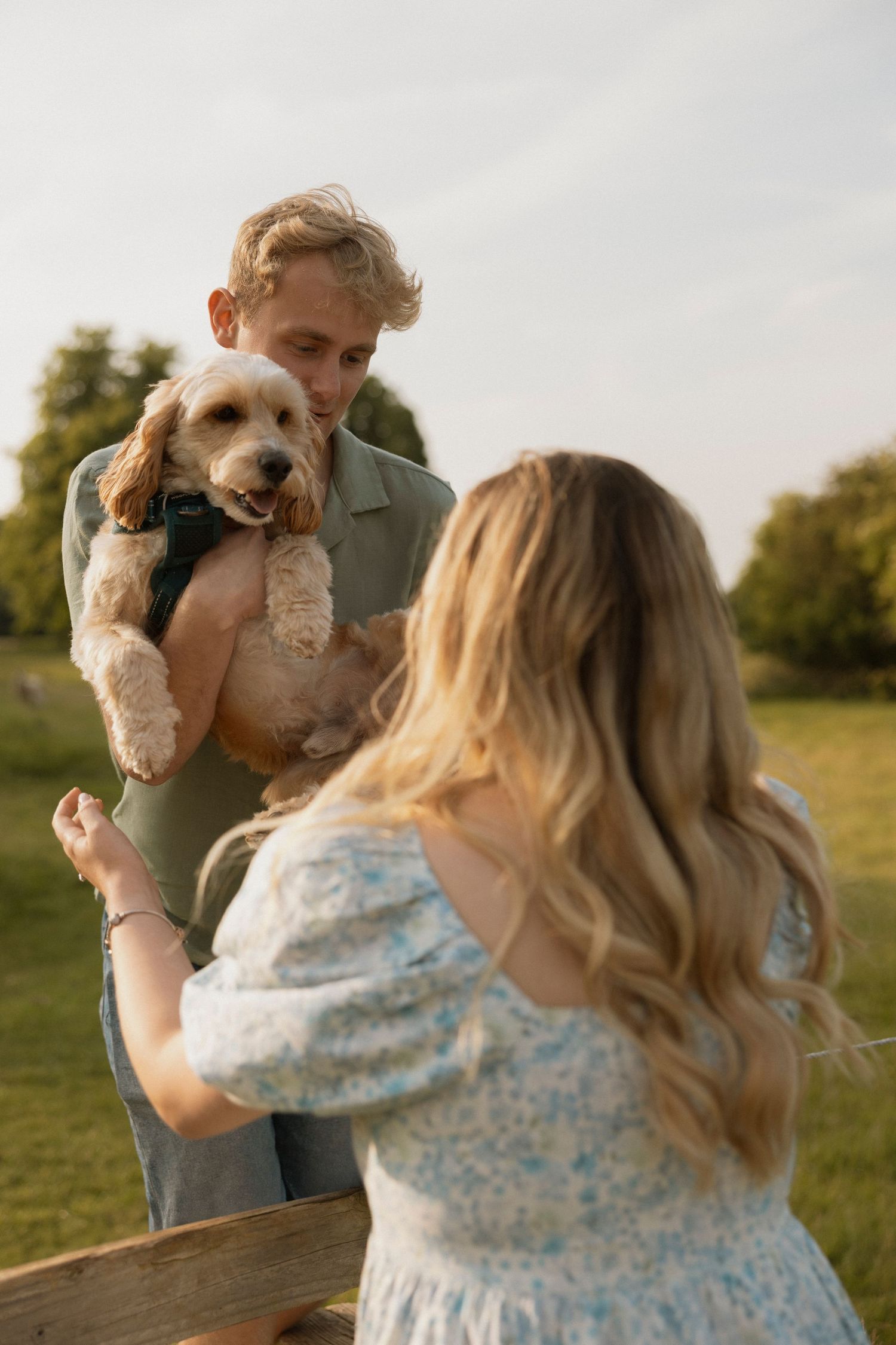 Couple with blonde hair interact with an adorable Cocker Spaniel puppy outdoors in a sunny green field.