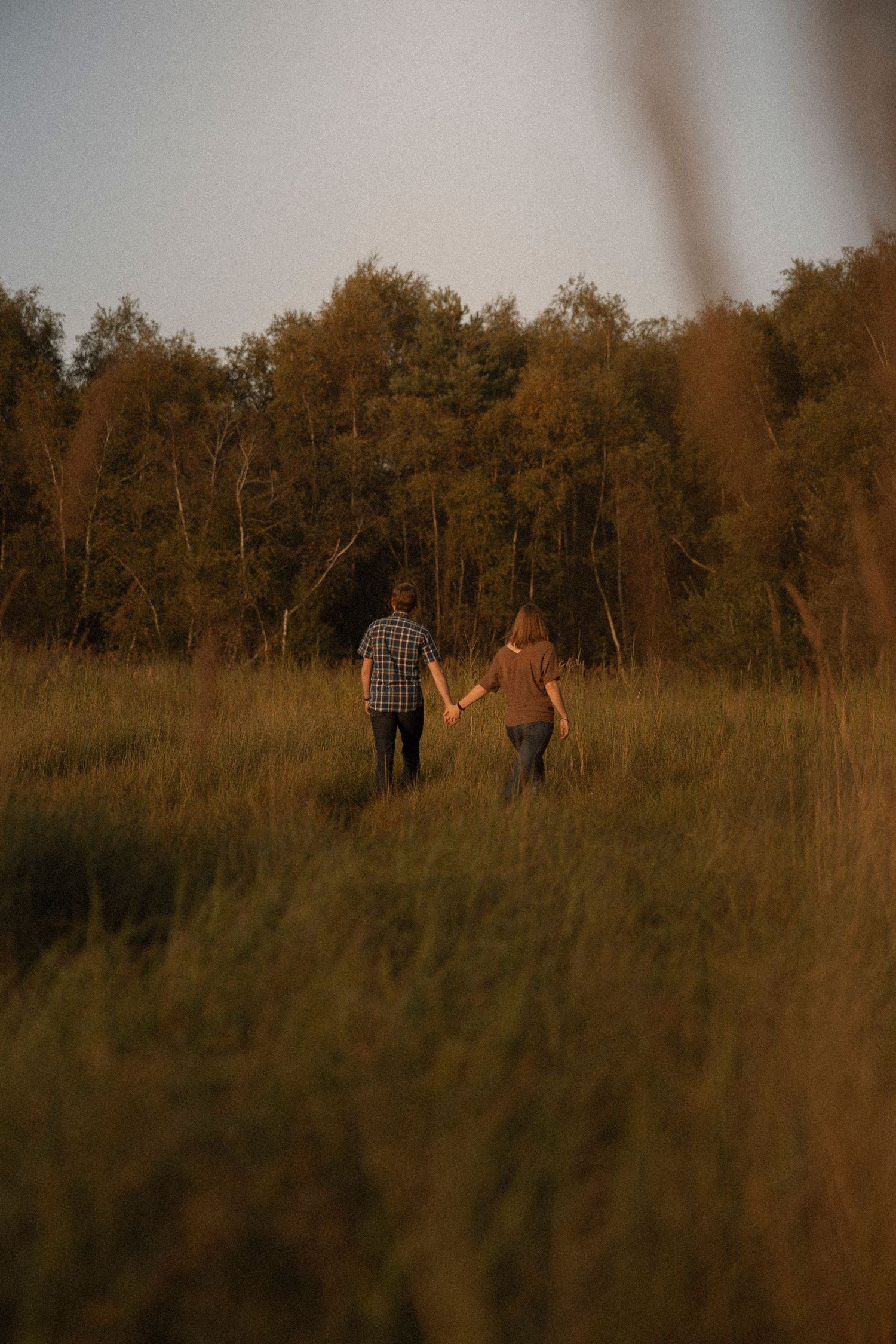 Couple walking through a golden meadow towards autumn trees at sunset.