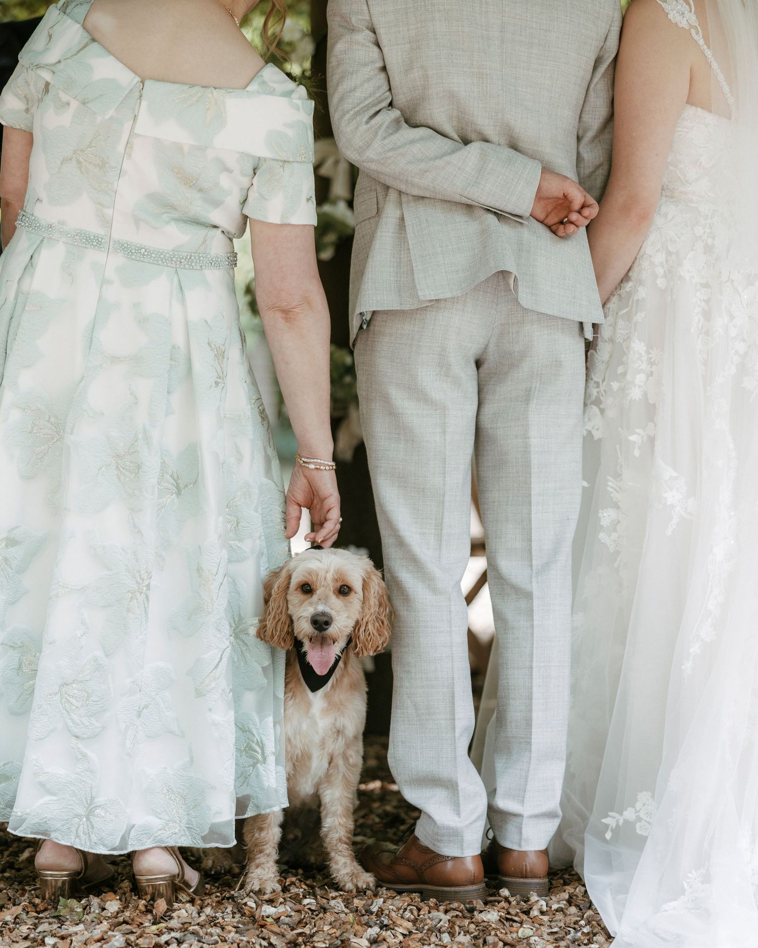 A cocker spaniel dog wearing a bandana stands between wedding party members in elegant attire.