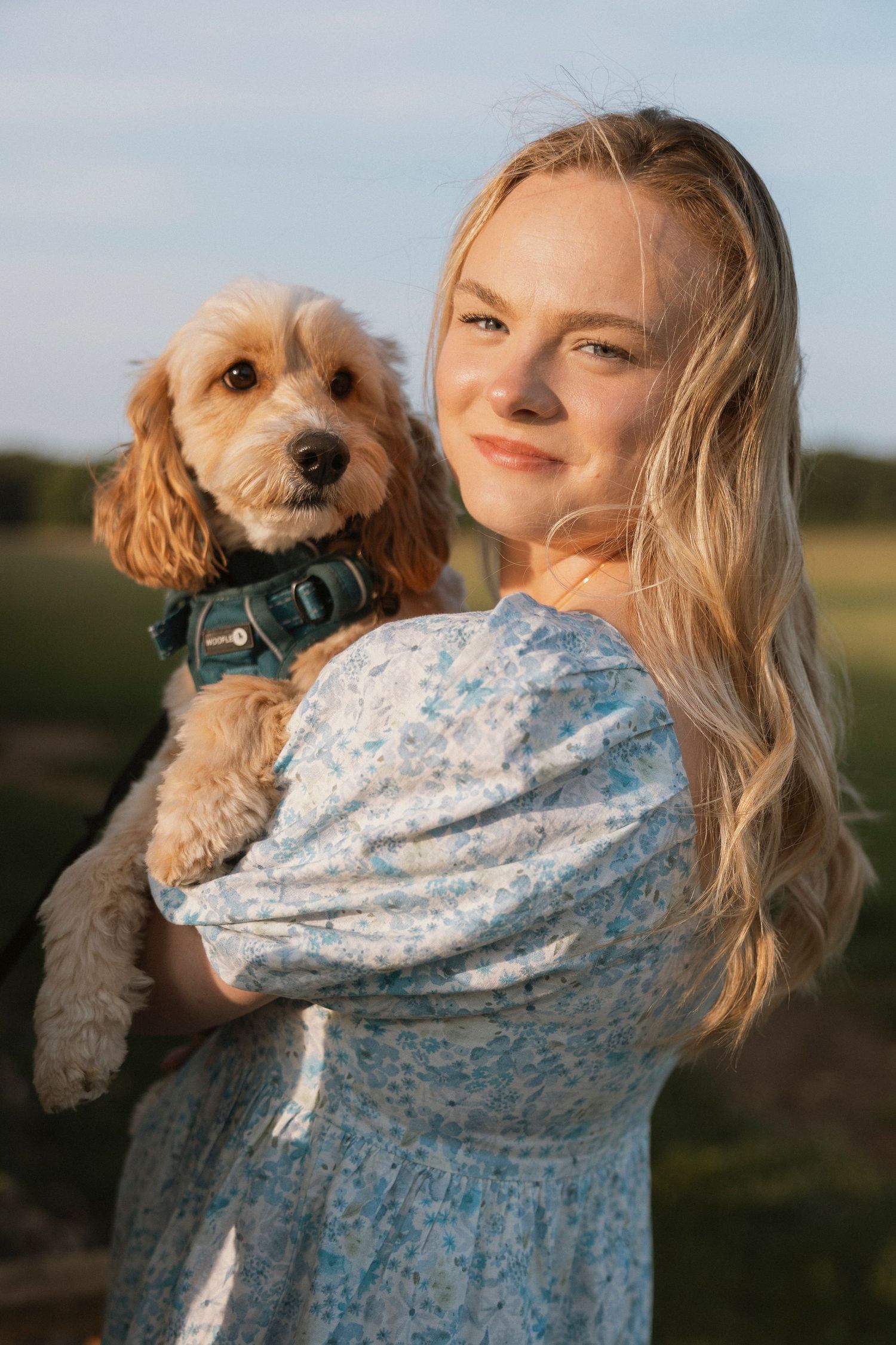 Young blonde woman in floral dress holding a fluffy golden Cockapoo puppy in a sunny field.