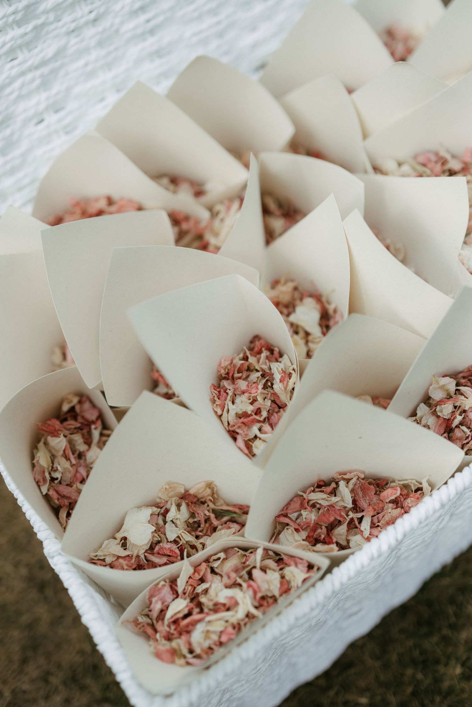 White paper cones filled with dried pink and white flower petals arranged in a wicker basket for a wedding confetti toss.