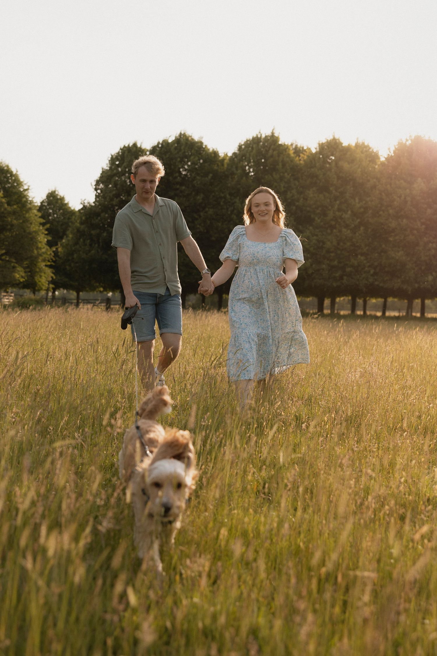 Couple holding hands walking dog through golden sunlit meadow with trees in background.