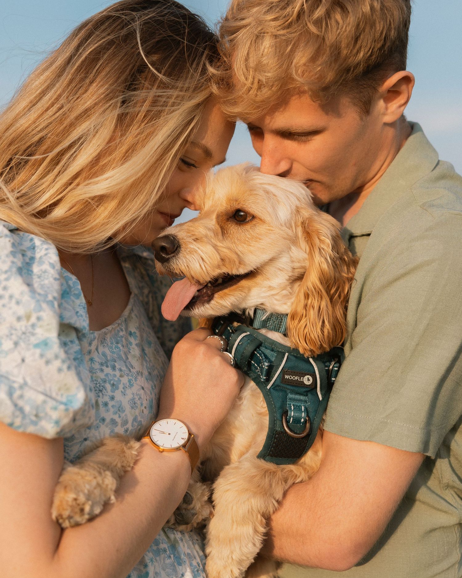 Couple kissing a happy Cockapoo dog in a green harness at golden hour.