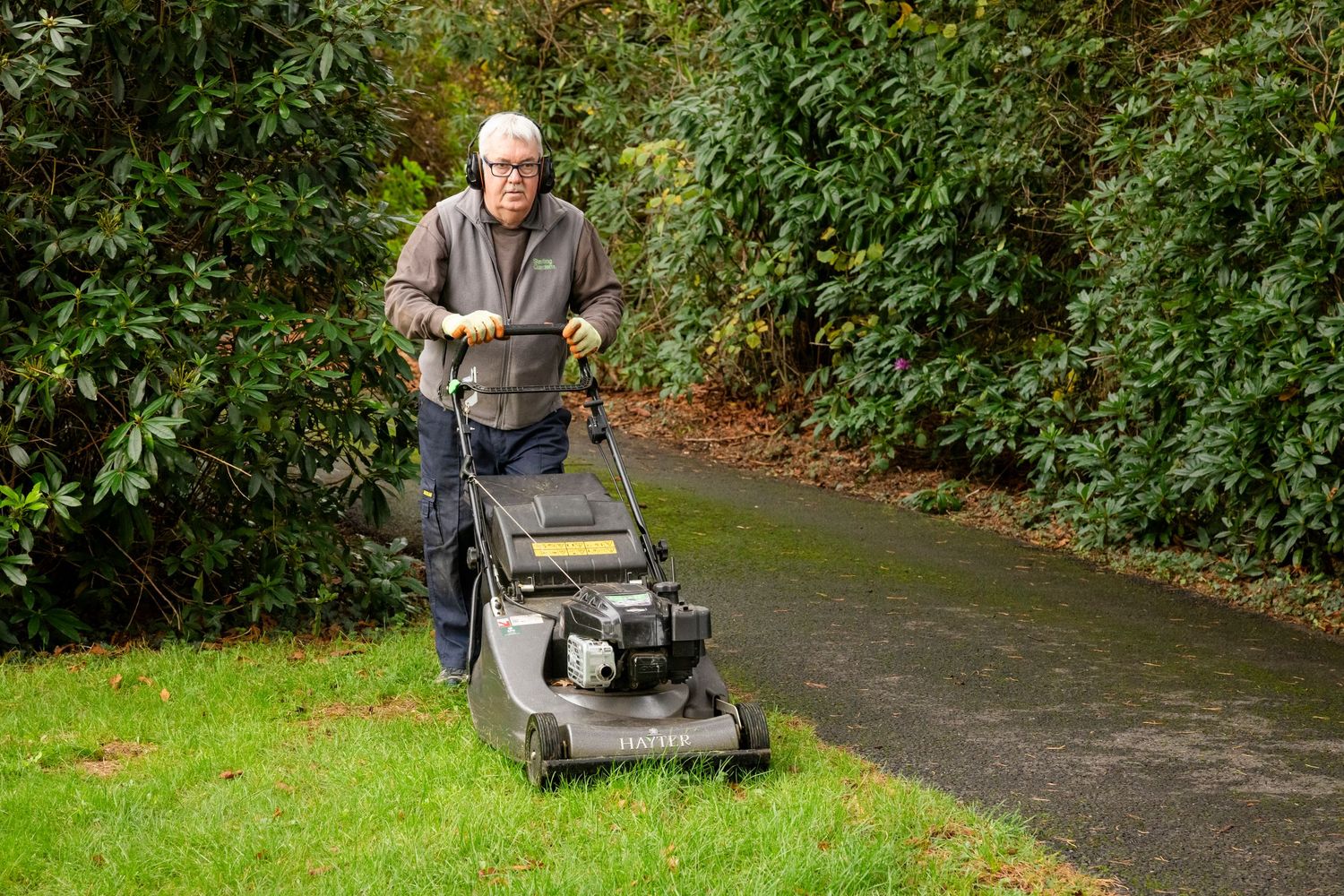 Person mowing the grass with a petrol-powered lawn mower surrounded by green foliage on a rainy day.
