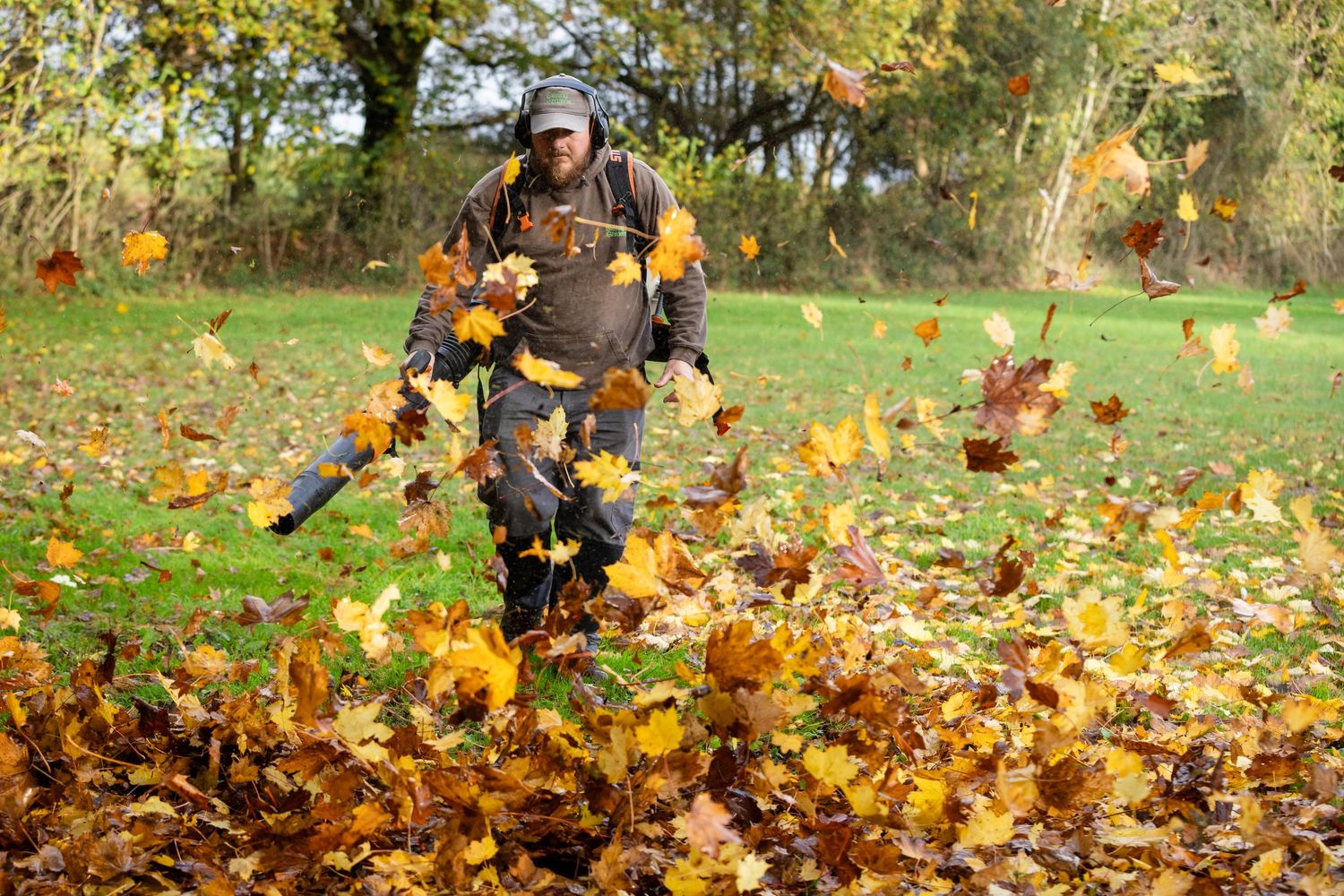 Clearing the autumn leaves with a leaf blower.