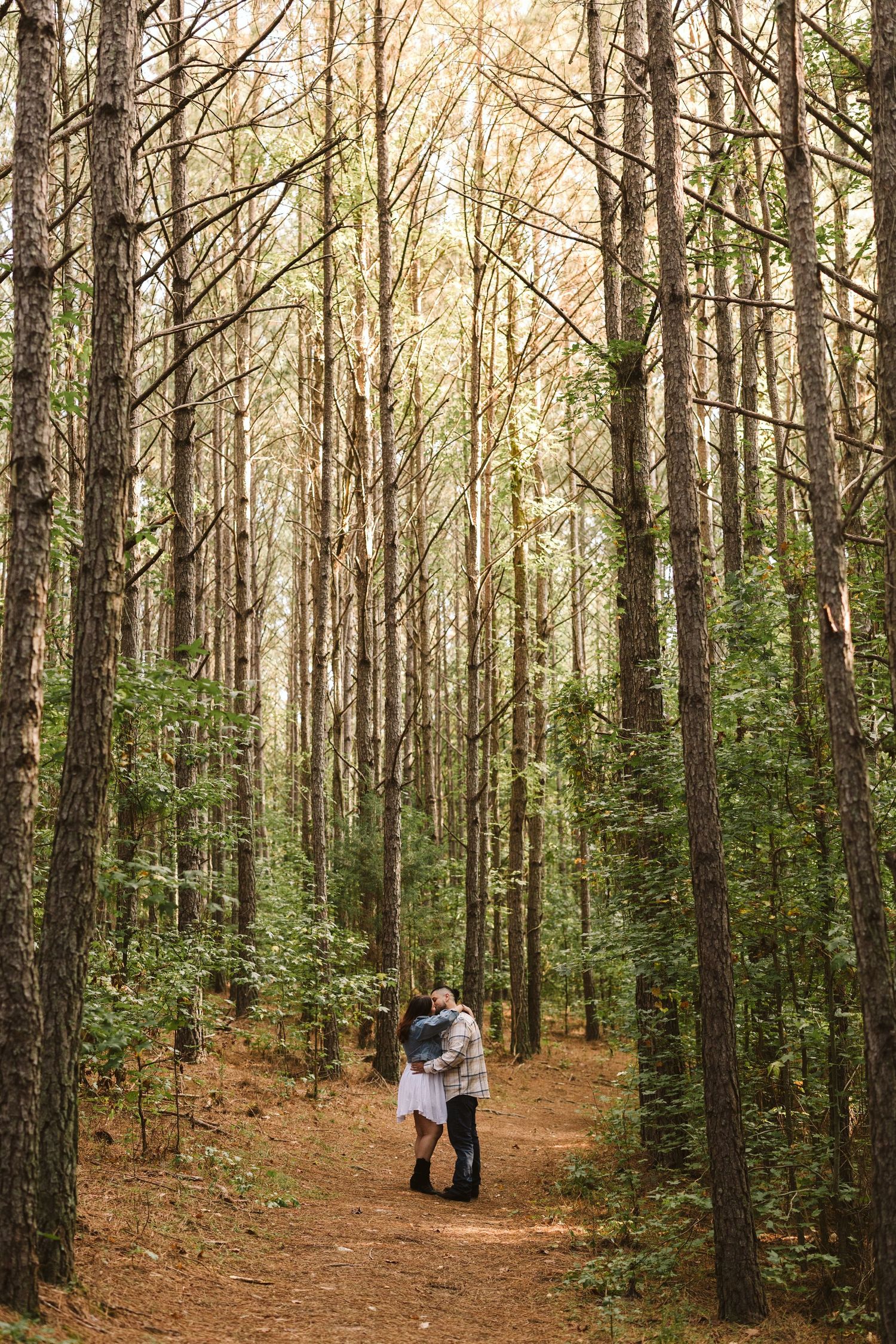 Engaged couple facing each other surrounded by massive trees