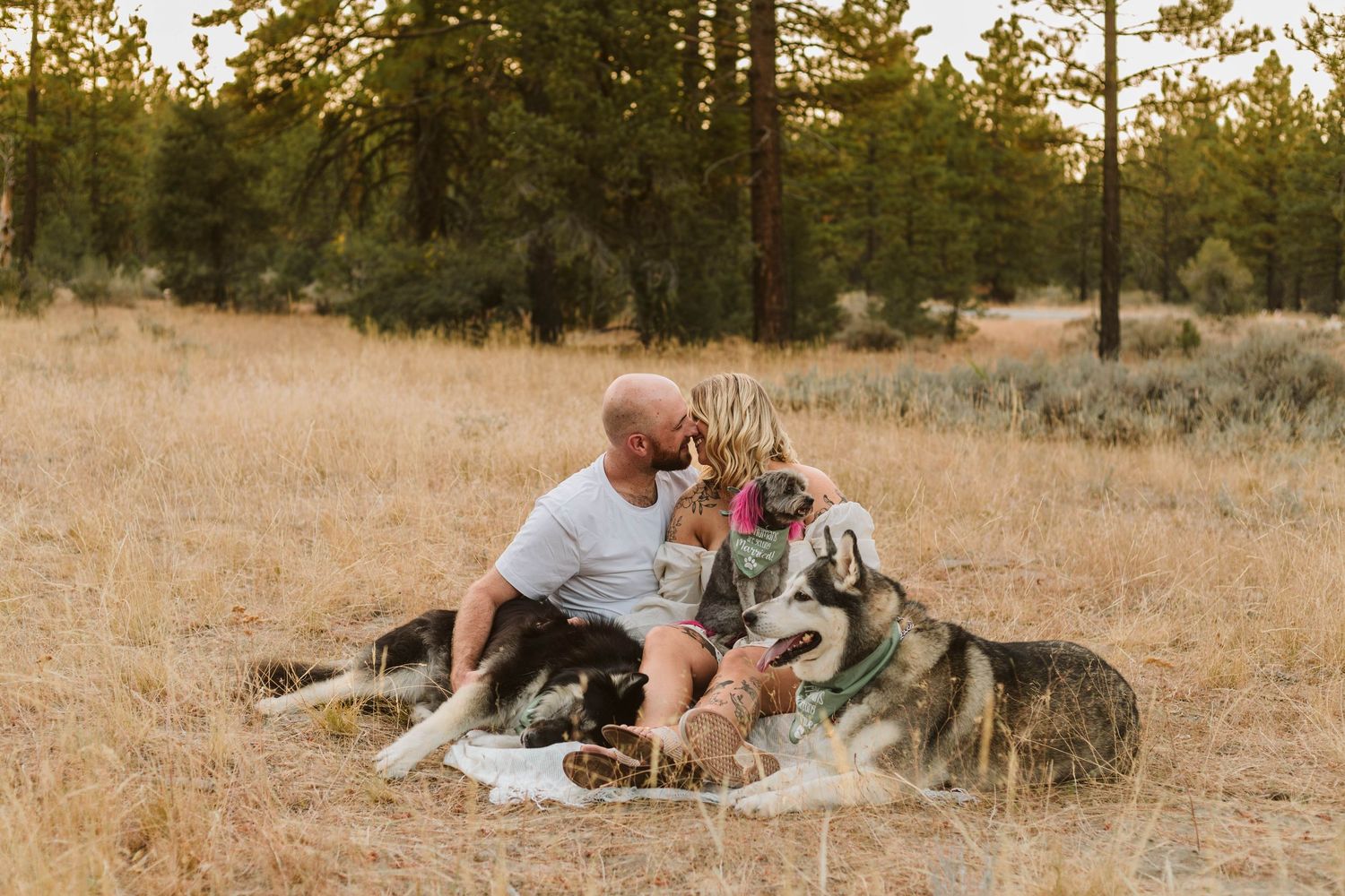 Engaged couple kissing on a blanket with their 3 dogs at sunset