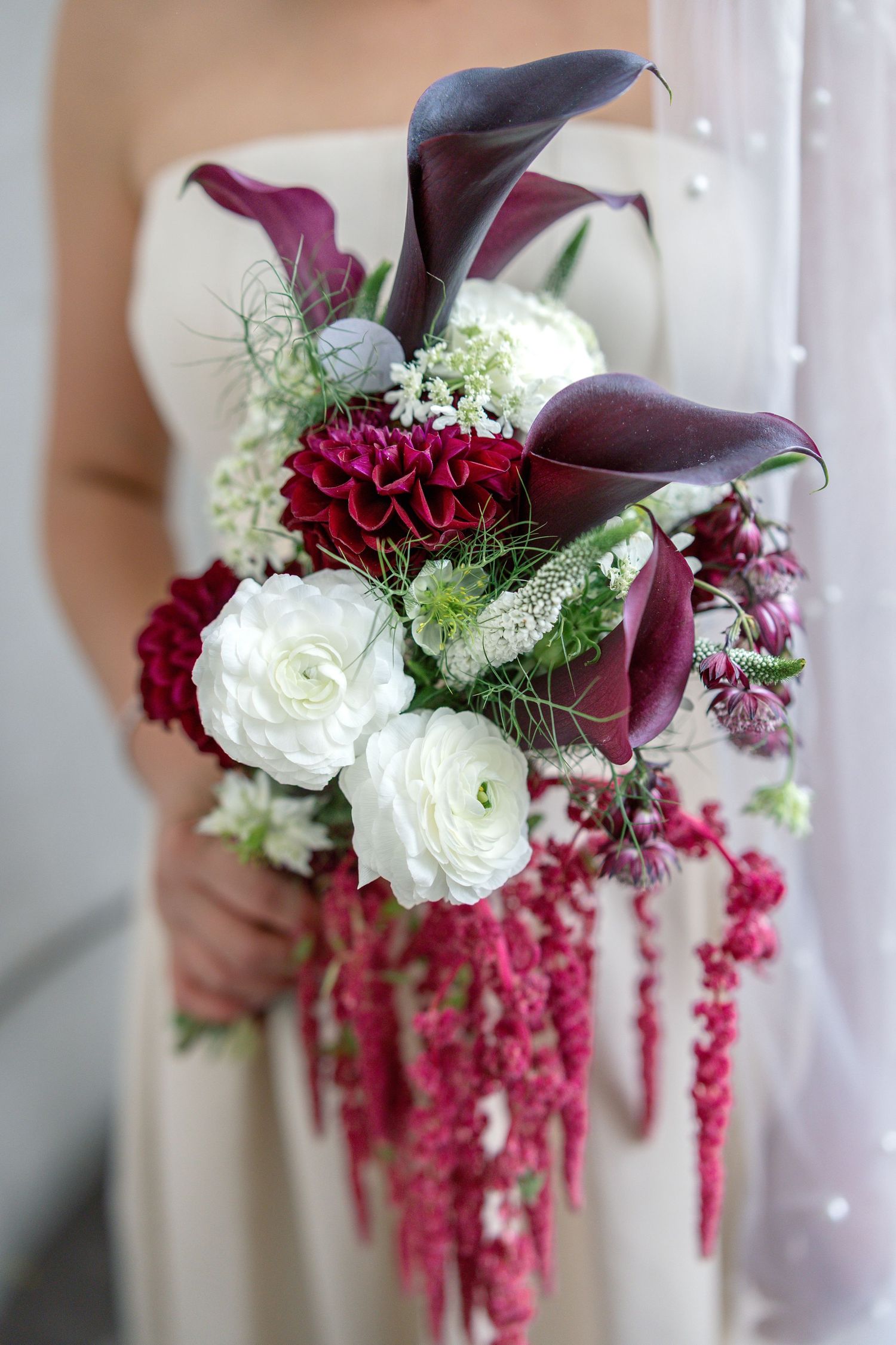 Bride holding elegant wedding bouquet with dark burgundy calla lilies, white ranunculus, and cascading amaranthus.