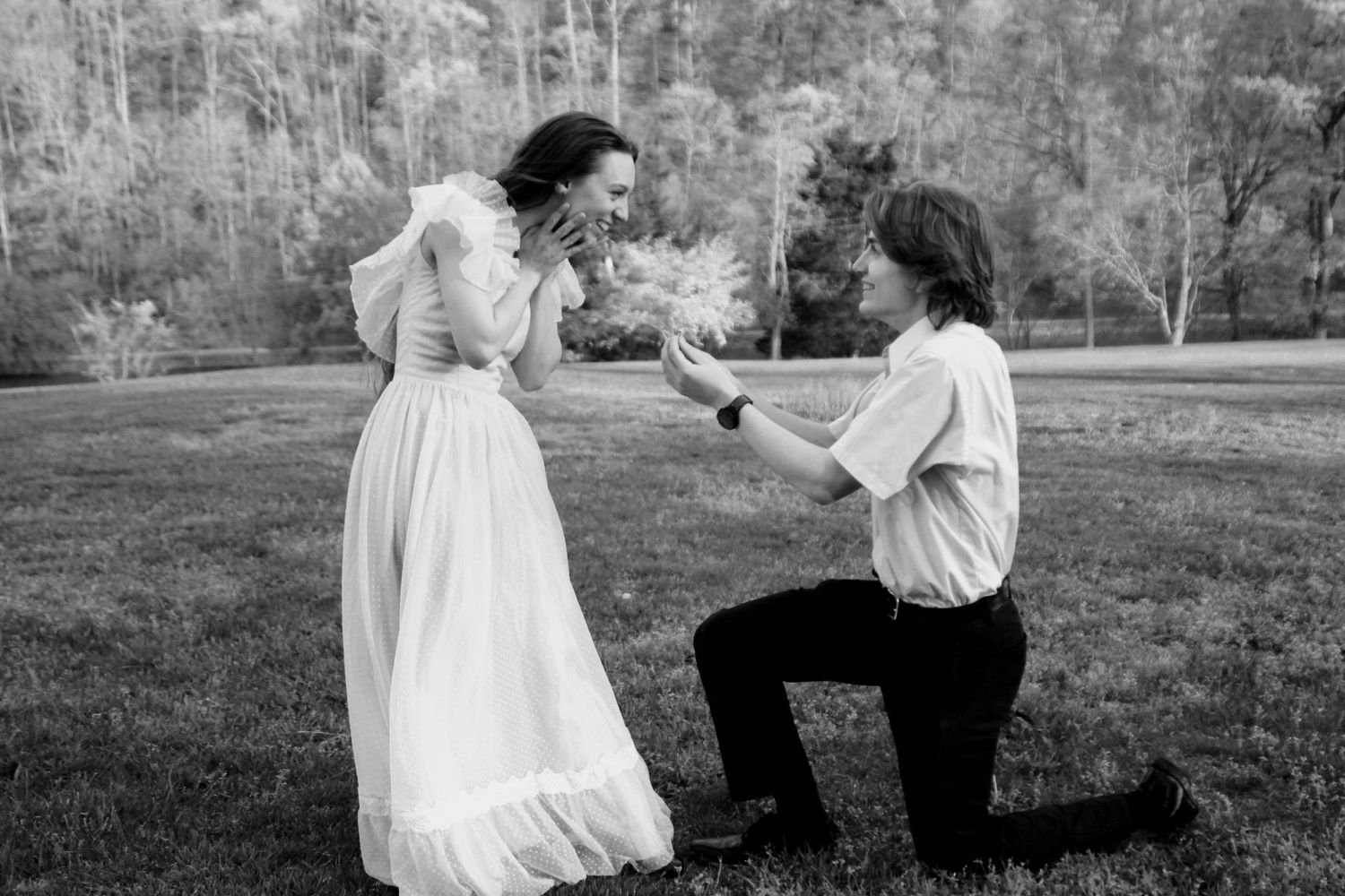 The proposal.