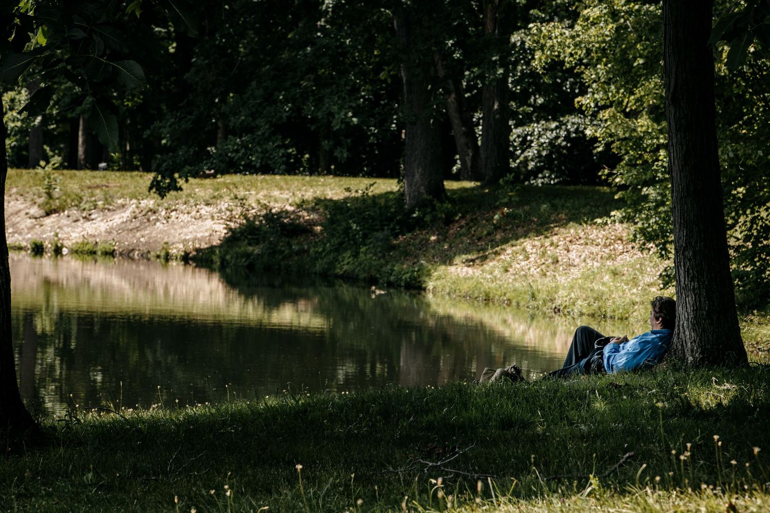 Person resting against a tree beside a calm reflective pond surrounded by lush green trees in a peaceful park setting.