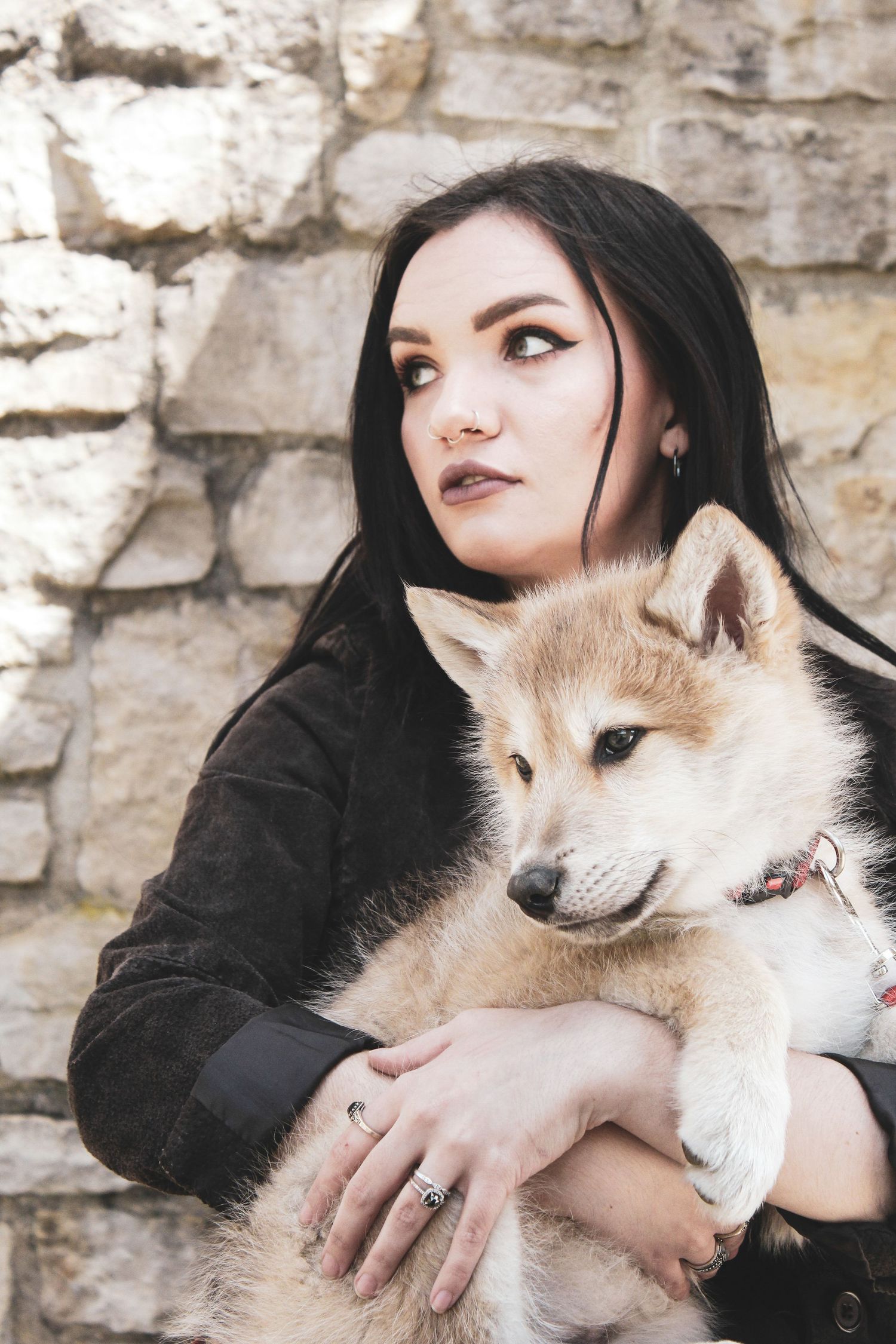 Sweet moment with a fluffy Shiba Inu dog against a limestone wall backdrop.