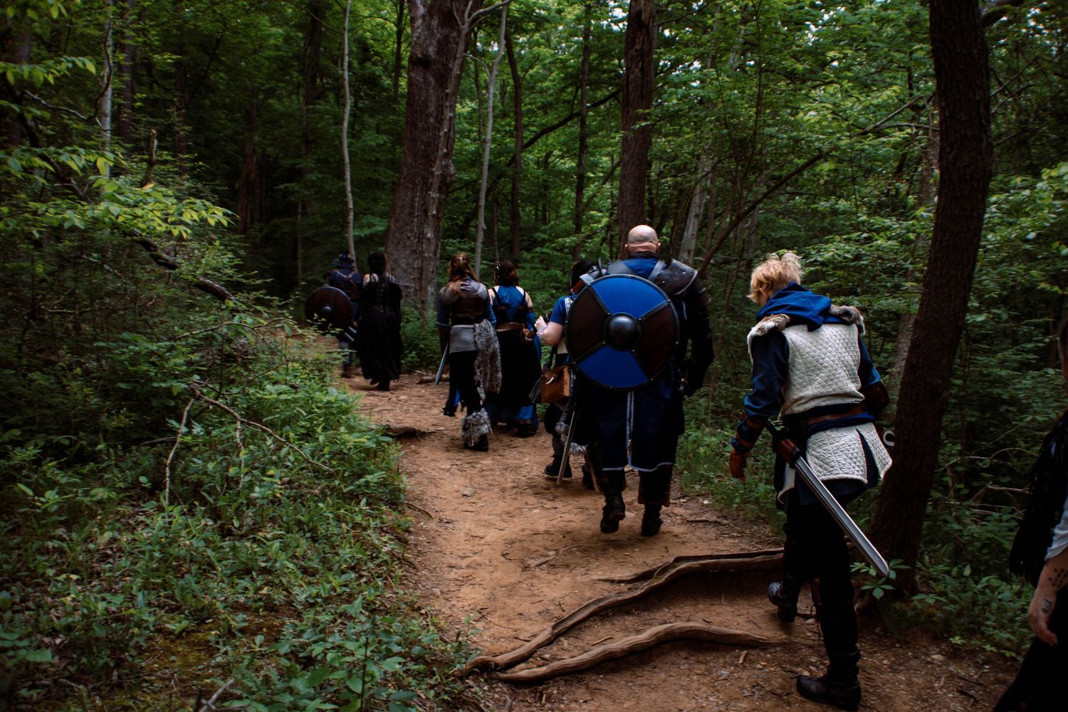 Hikers walk along a winding dirt trail through a lush green forest on a summer day.