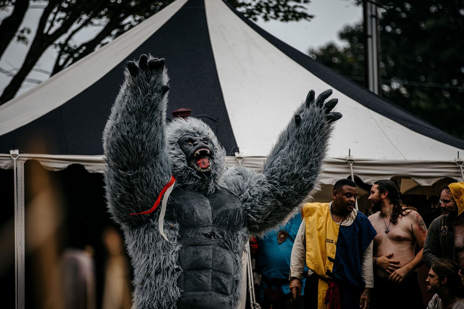 Person in a realistic gorilla costume with arms raised at an outdoor festival event with a striped tent backdrop.
