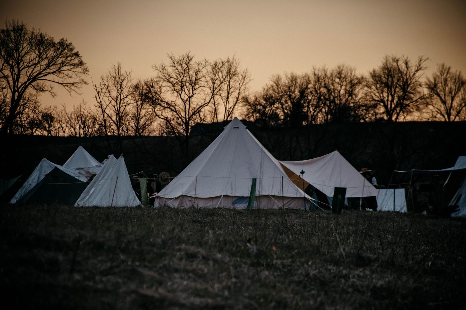 White canvas tents set up in a field at dusk with bare trees silhouetted against the darkening sky.