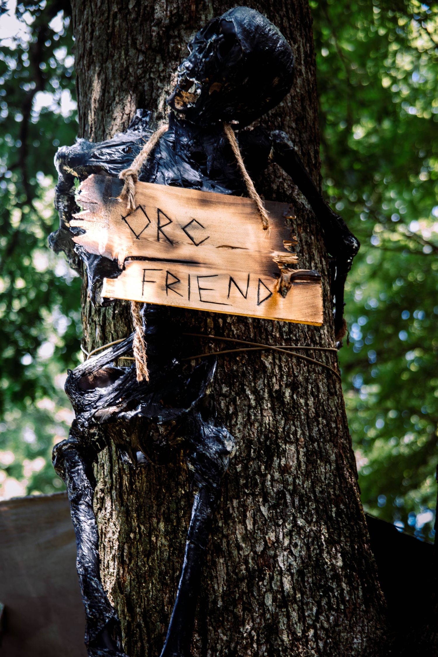 Wooden signs with text are nailed to a dark tree trunk in a forest setting.