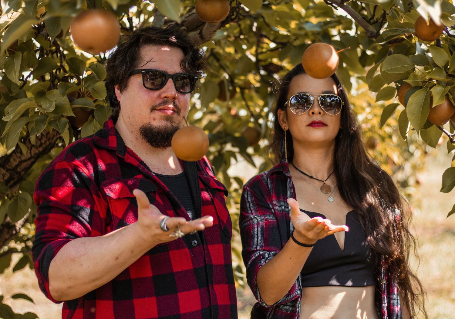 Friends enjoying drinks under fruit trees in casual plaid shirts on a sunny day.