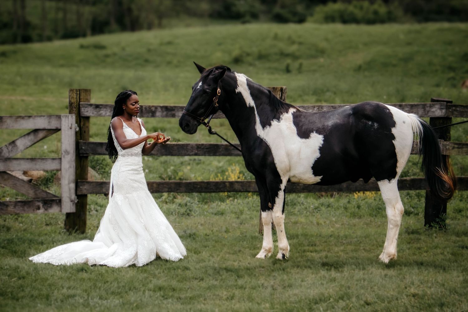 A bride in a white wedding dress stands in a grassy field with a black and white horse.