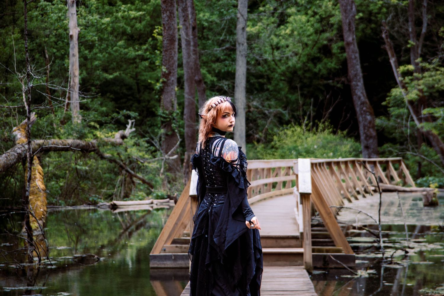 A wooden footbridge stretches across a serene pond surrounded by lush green forest in a tranquil nature setting.