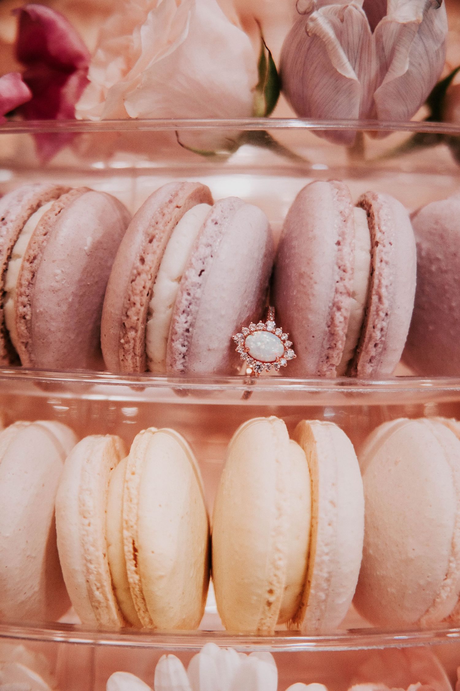 Rows of delicate pink and peach colored French macarons displayed in clear plastic containers.